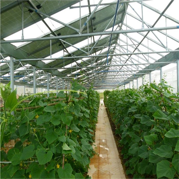 Landbruk PV monteringssystemer